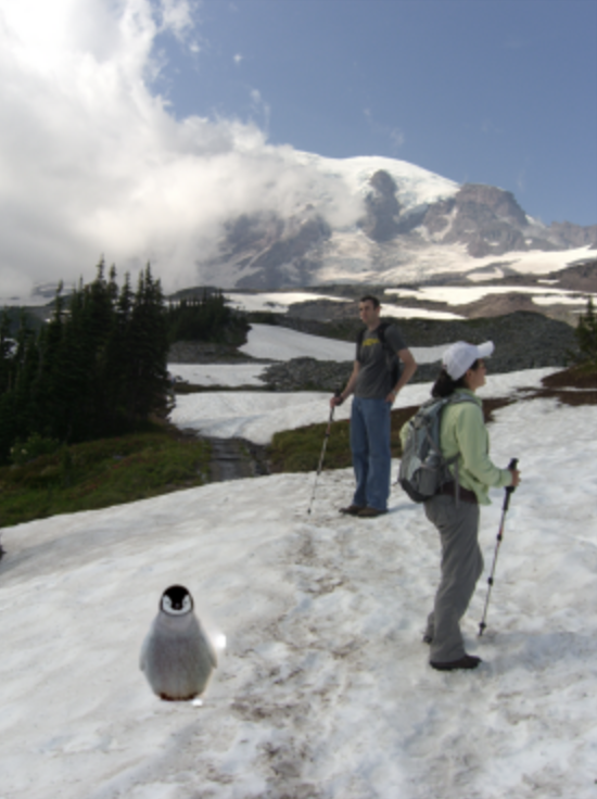 Poisson Blended Penguin Image